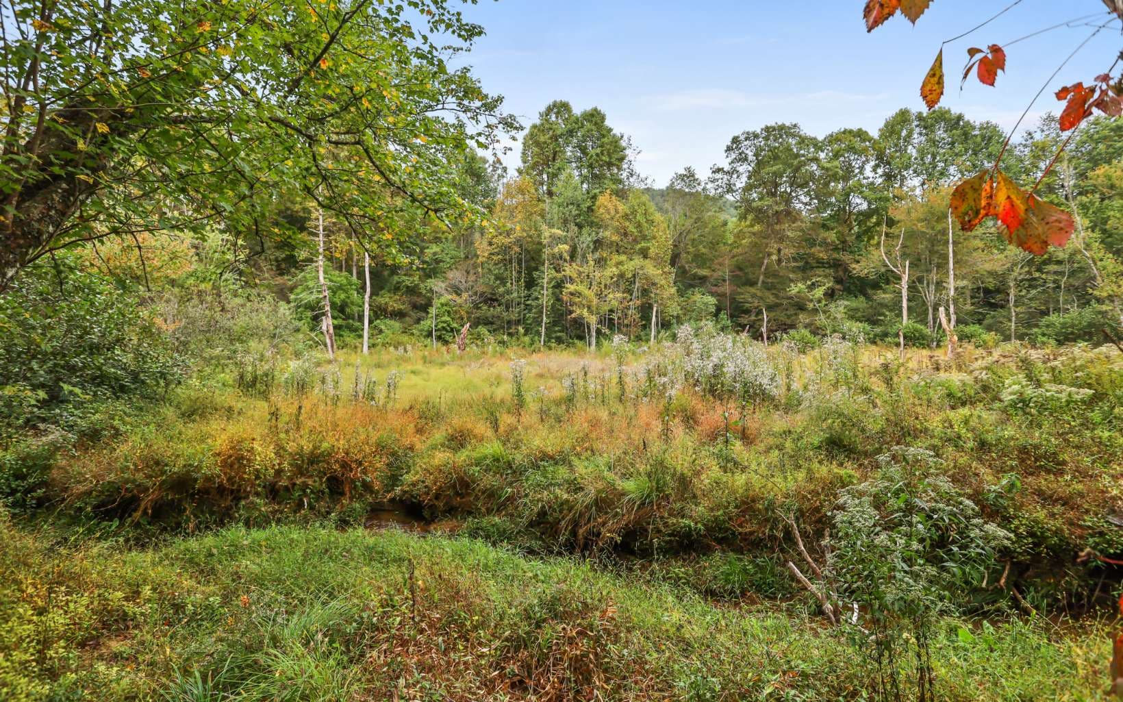 1955 Cavender Gap Road, Suches GA 30572 - Photo
