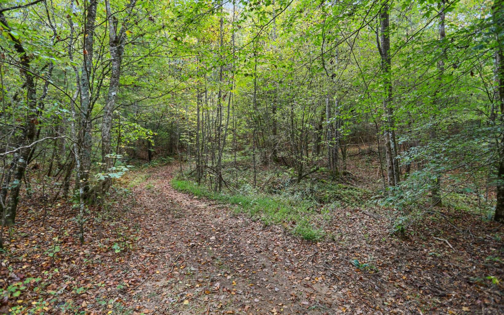 1955 Cavender Gap Road, Suches GA 30572 - Photo