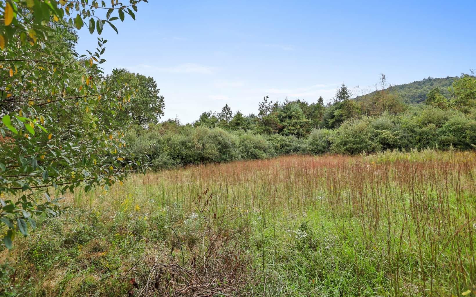 1955 Cavender Gap Road, Suches GA 30572 - Photo
