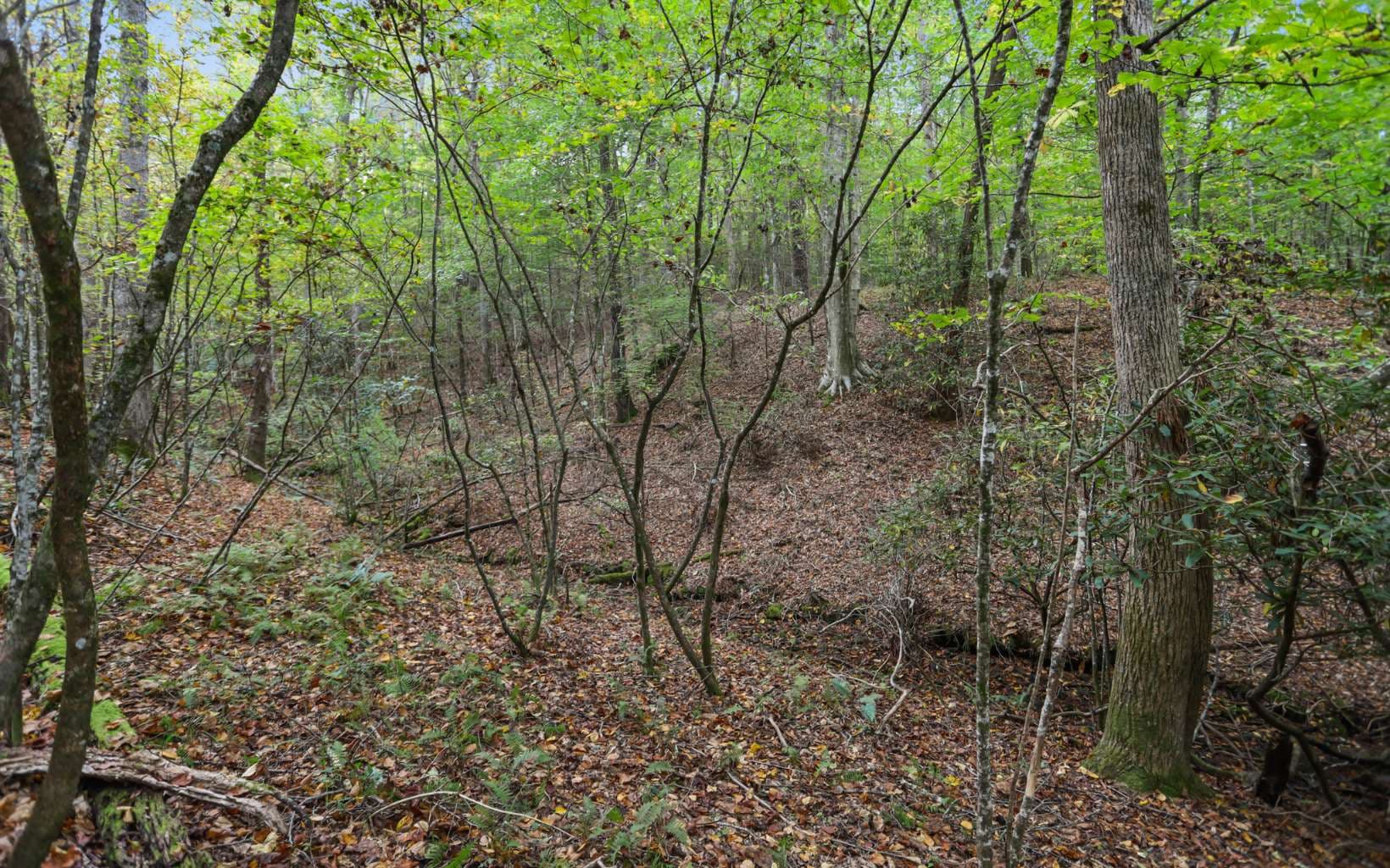 1955 Cavender Gap Road, Suches GA 30572 - Photo