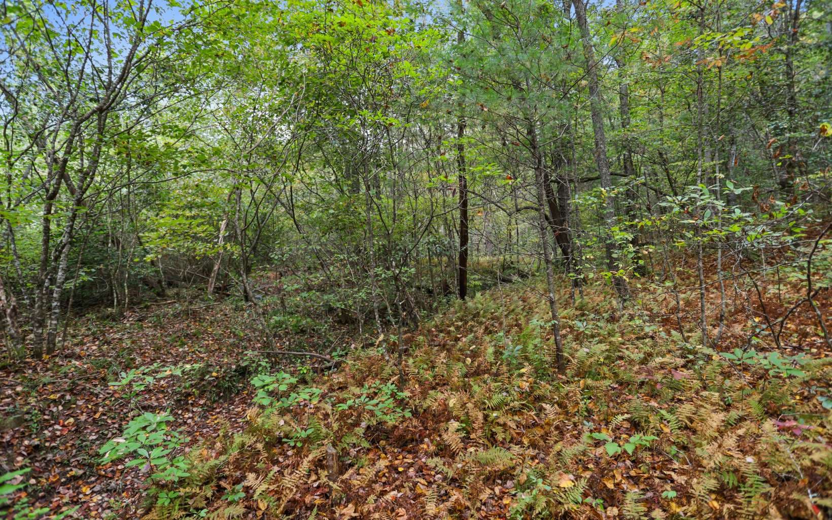 1955 Cavender Gap Road, Suches GA 30572 - Photo