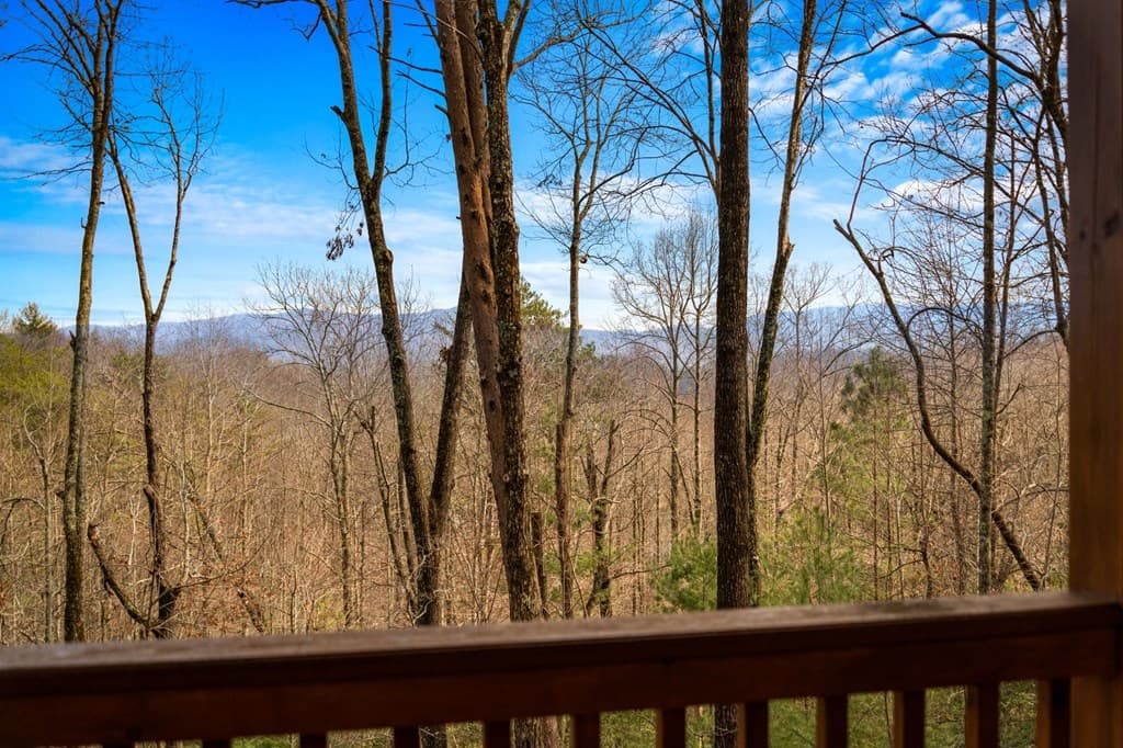 275 N Moreland Drive, Cherry Log GA 30522 - Photo