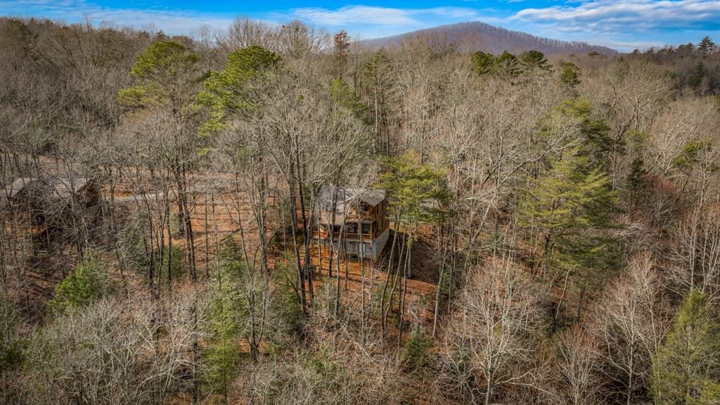 275 N Moreland Drive, Cherry Log GA 30522 - Photo