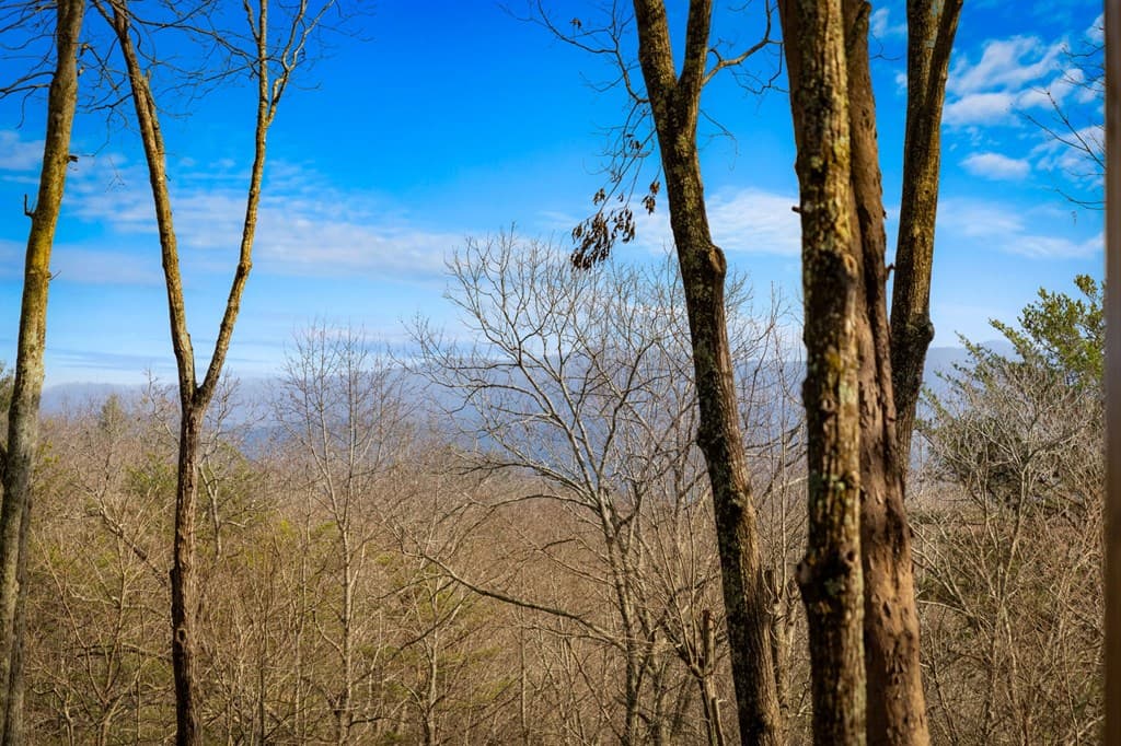 275 N Moreland Drive, Cherry Log GA 30522 - Photo