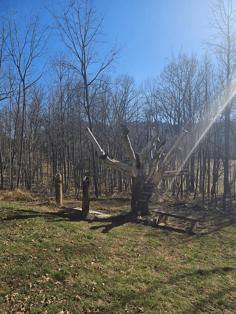 154 Shoe Factory Road, Blairsville GA 30512 - Photo