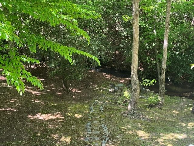 125 Jess Hooper Drive, Hayesville NC 28904 - Photo