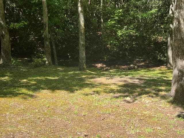 125 Jess Hooper Drive, Hayesville NC 28904 - Photo