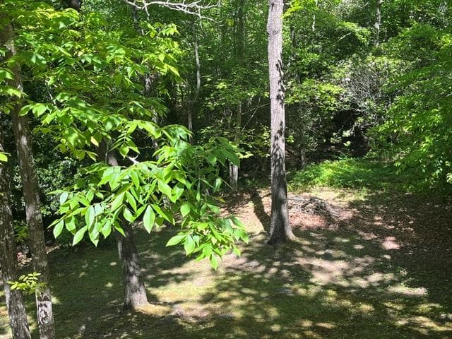 125 Jess Hooper Drive, Hayesville NC 28904 - Photo