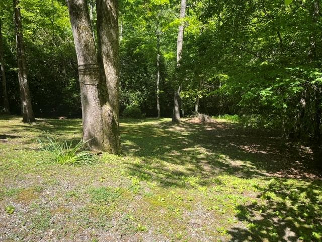 125 Jess Hooper Drive, Hayesville NC 28904 - Photo