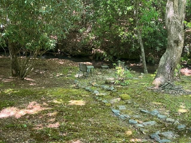 125 Jess Hooper Drive, Hayesville NC 28904 - Photo