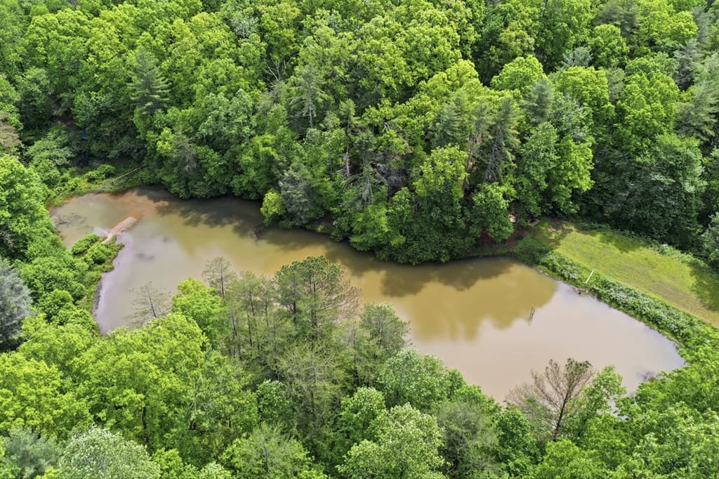 1564 Big Ben Road, Ellijay GA 30540 - Photo