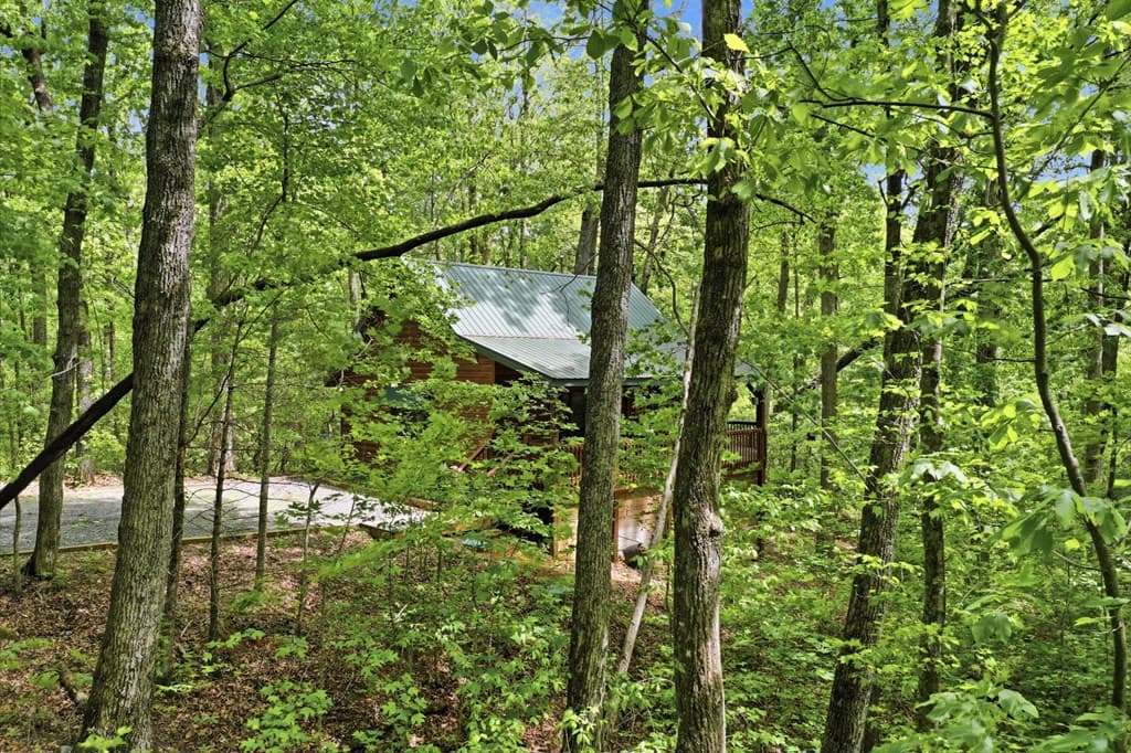 1564 Big Ben Road, Ellijay GA 30540 - Photo