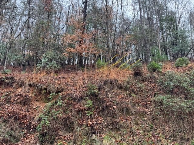 Lot 171 Beaver Lake Drive, Ellijay GA 30540 - Primary photo