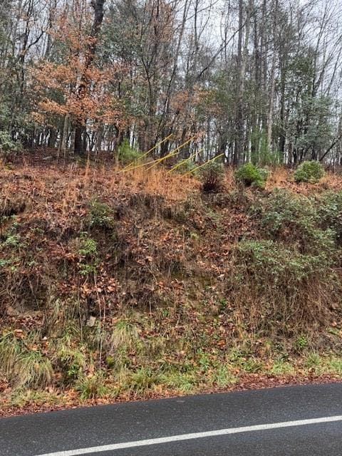 Lot 171 Beaver Lake Drive, Ellijay GA 30540 - Photo