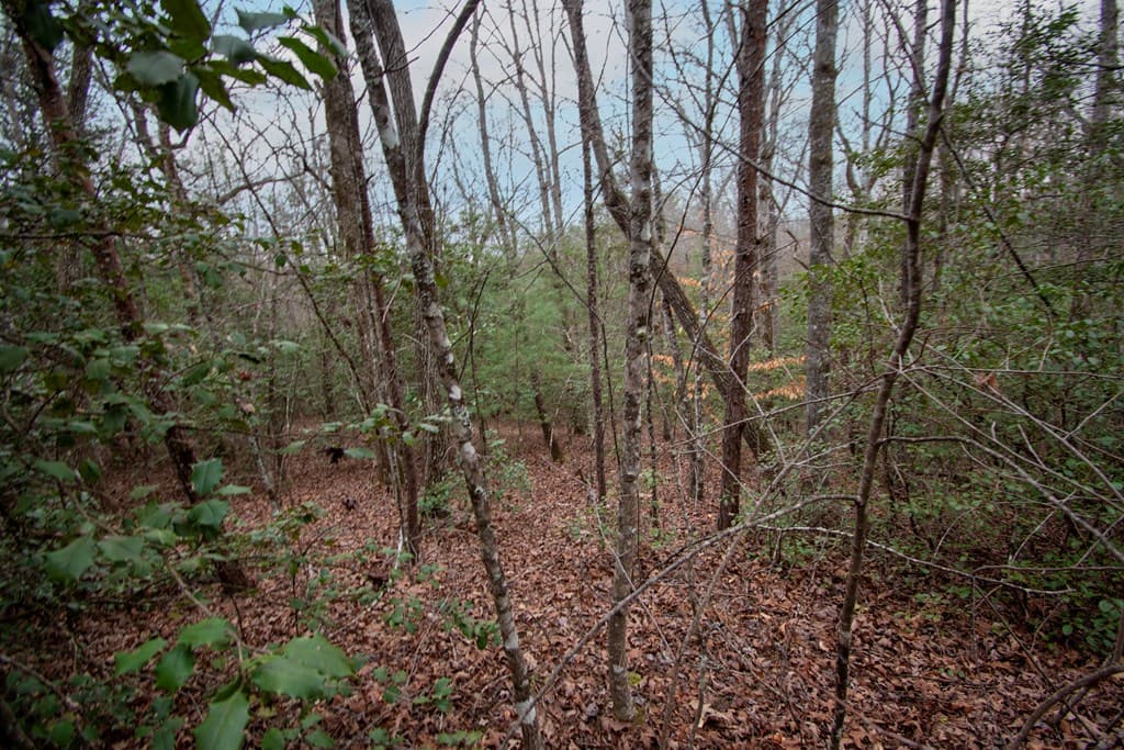 Lot 6 Posey Place, Murphy NC 28906 - Photo