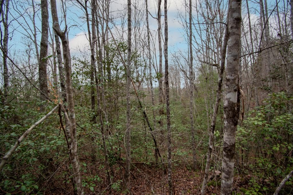 Lot 6 Posey Place, Murphy NC 28906 - Primary photo