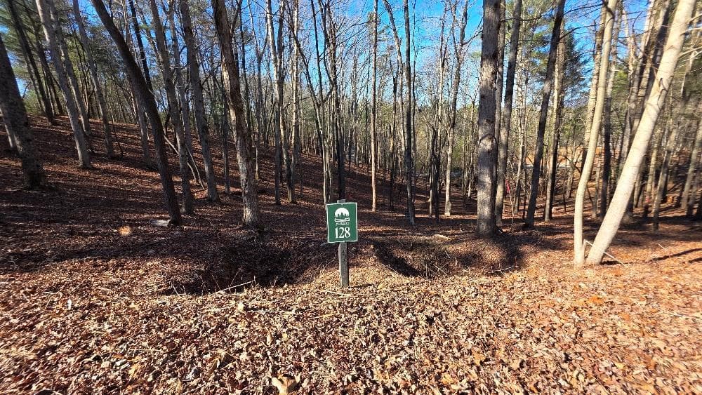 128R Red Oak Trail, Ellijay GA 30540 - Photo