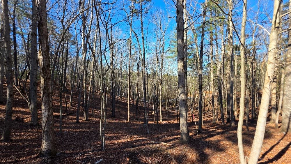 128R Red Oak Trail, Ellijay GA 30540 - Photo