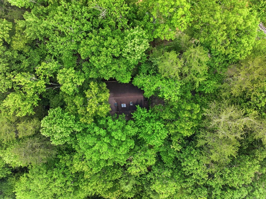 79 Laurel Ridge Way, Cherry Log GA 30513 - Photo
