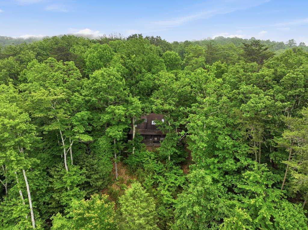 79 Laurel Ridge Way, Cherry Log GA 30513 - Photo