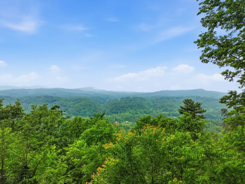 79 Laurel Ridge Way, Cherry Log GA 30513 - Photo