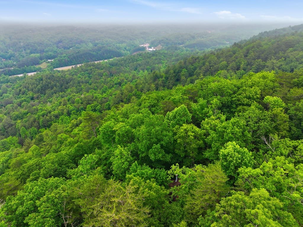 79 Laurel Ridge Way, Cherry Log GA 30513 - Photo