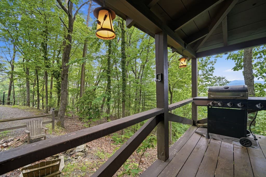 79 Laurel Ridge Way, Cherry Log GA 30513 - Photo