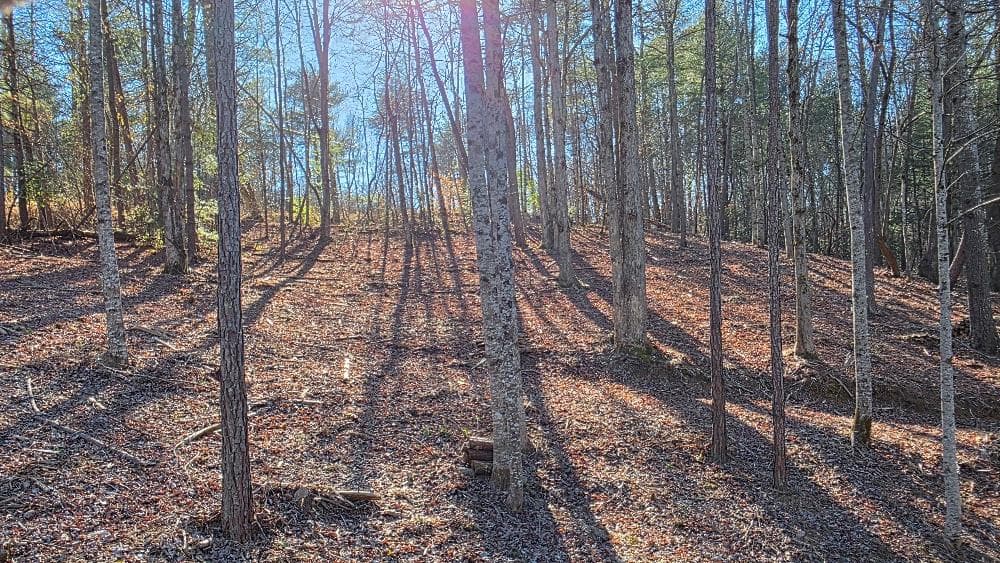 138 Red Oak Trail, Ellijay GA 30540 - Photo