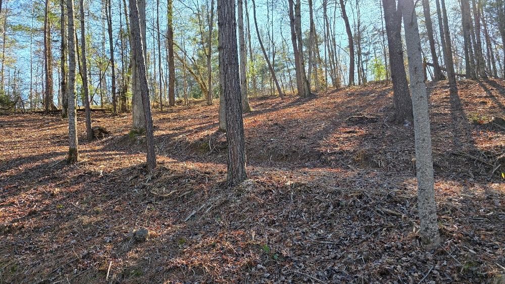 138 Red Oak Trail, Ellijay GA 30540 - Photo