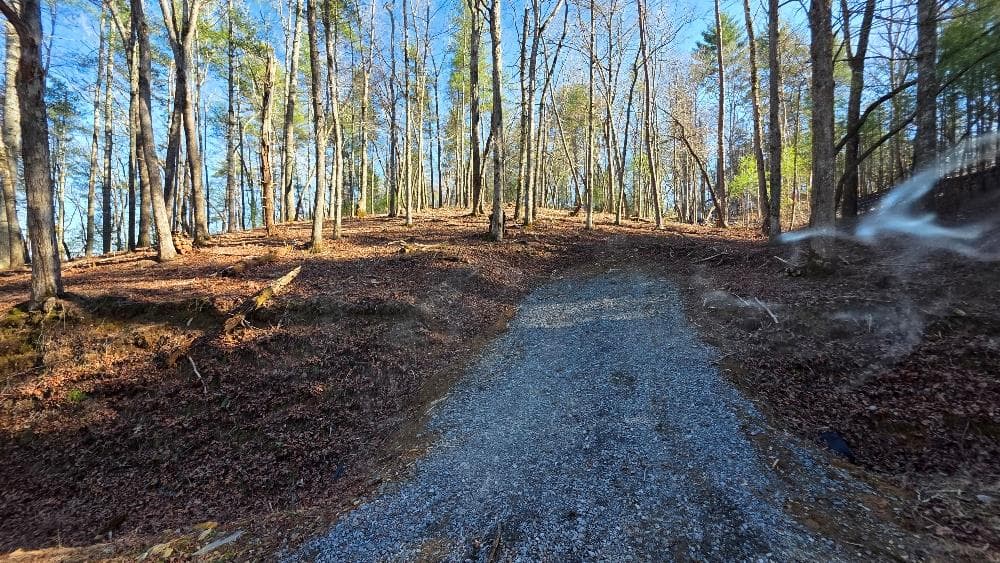 151 Rhondas Way, Ellijay GA 30540 - Photo