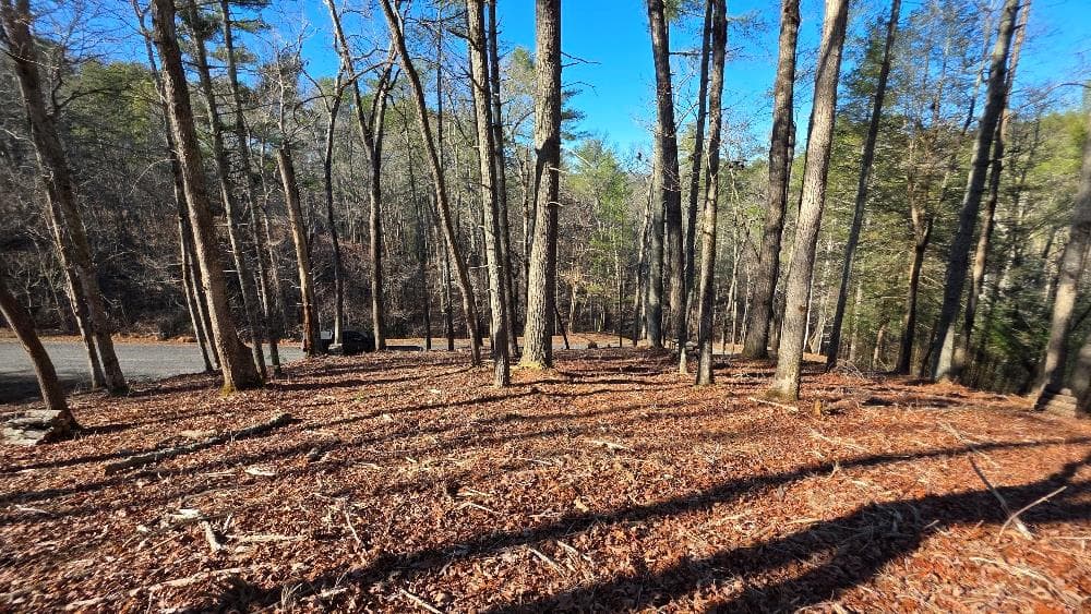 151 Rhondas Way, Ellijay GA 30540 - Photo