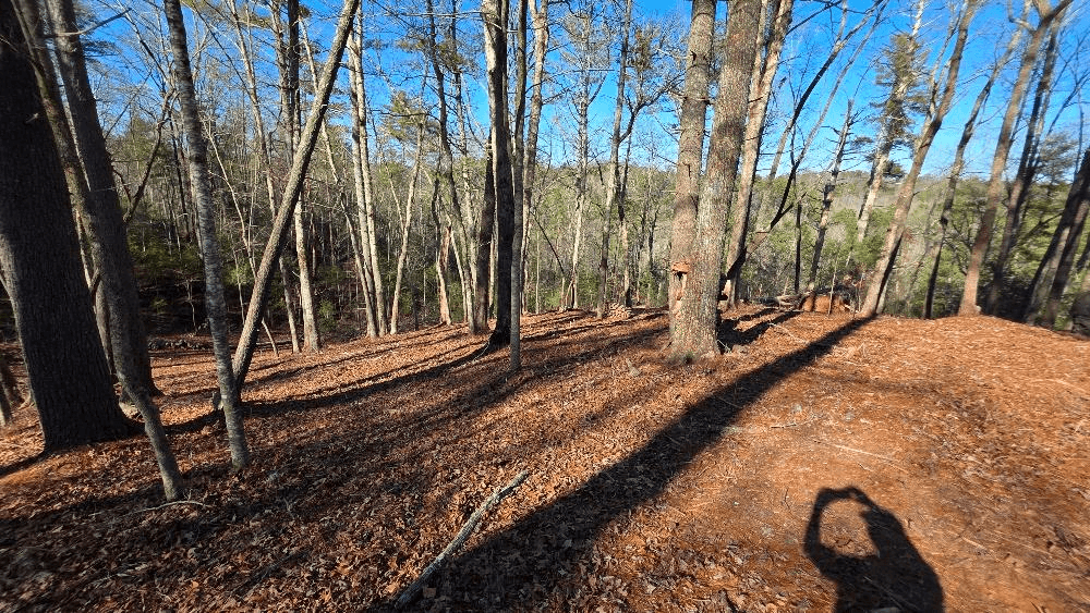 153 Red Oak Trail, Ellijay GA 30540 - Photo