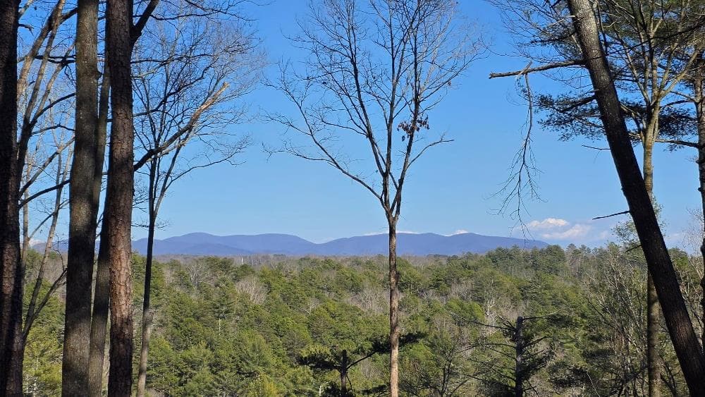 153 Red Oak Trail, Ellijay GA 30540 - Photo