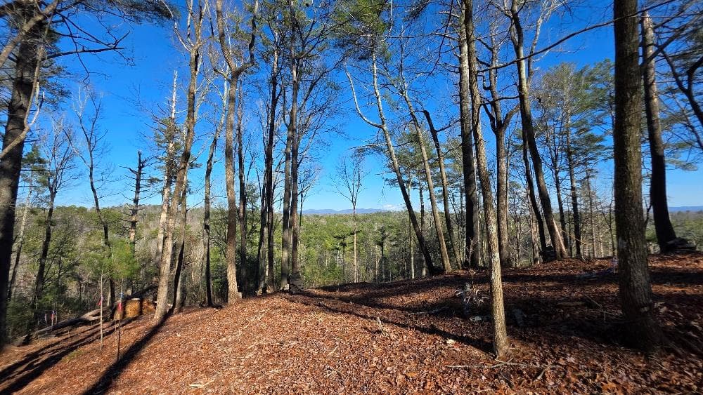 153 Red Oak Trail, Ellijay GA 30540 - Photo