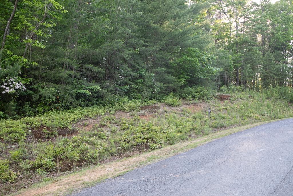 Lot 13 Frances Drive, Ellijay GA 30536 - Photo