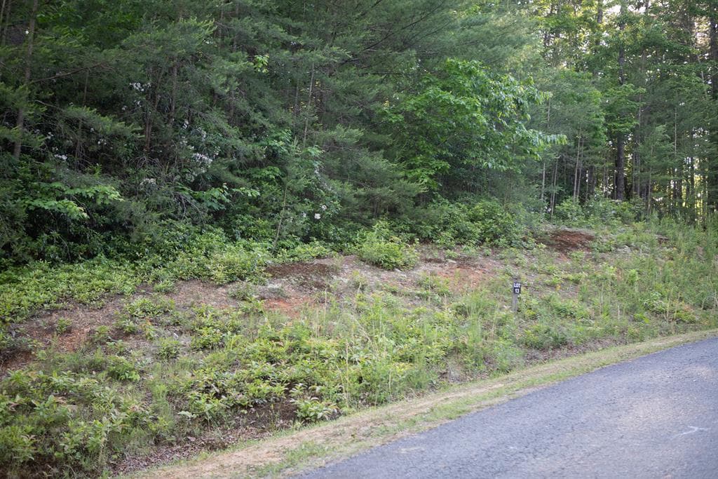 Lot 13 Frances Drive, Ellijay GA 30536 - Photo