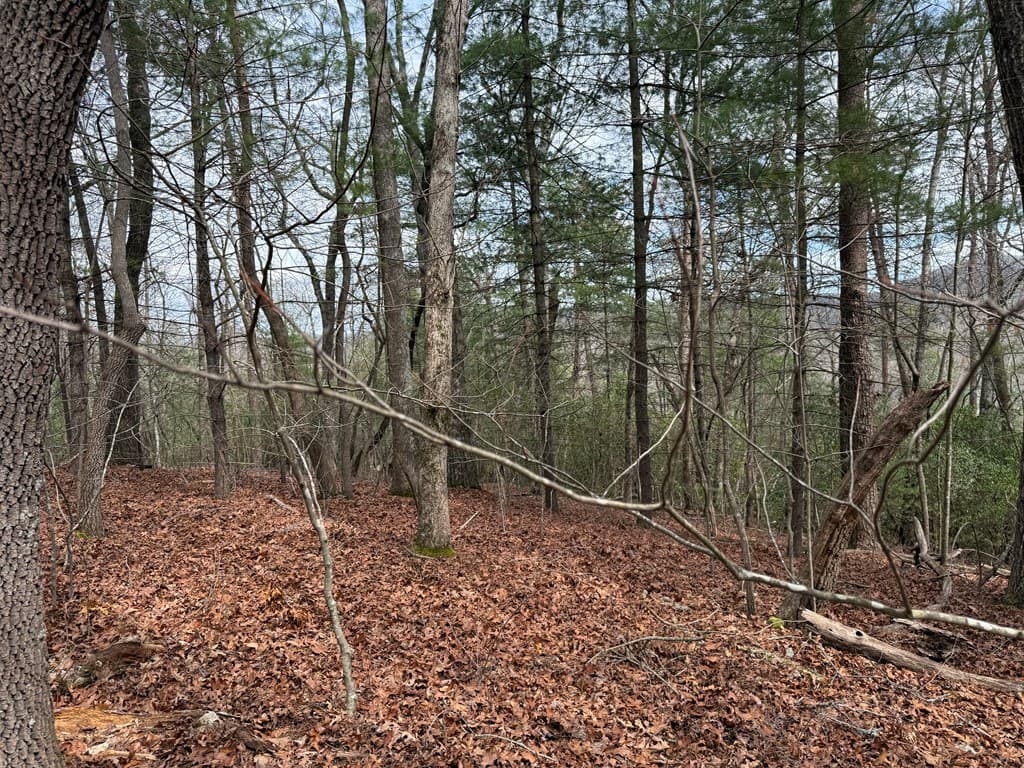 Lot 13 Frances Drive, Ellijay GA 30536 - Photo