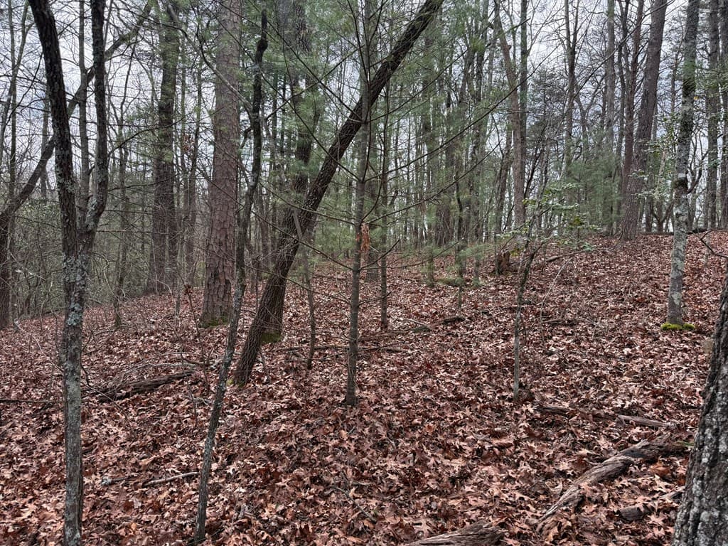 Lot 13 Frances Drive, Ellijay GA 30536 - Photo