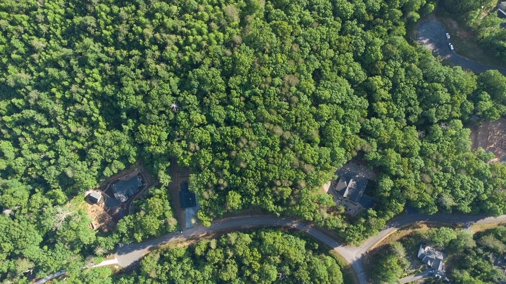 Lot 13 Frances Drive, Ellijay GA 30536 - Photo