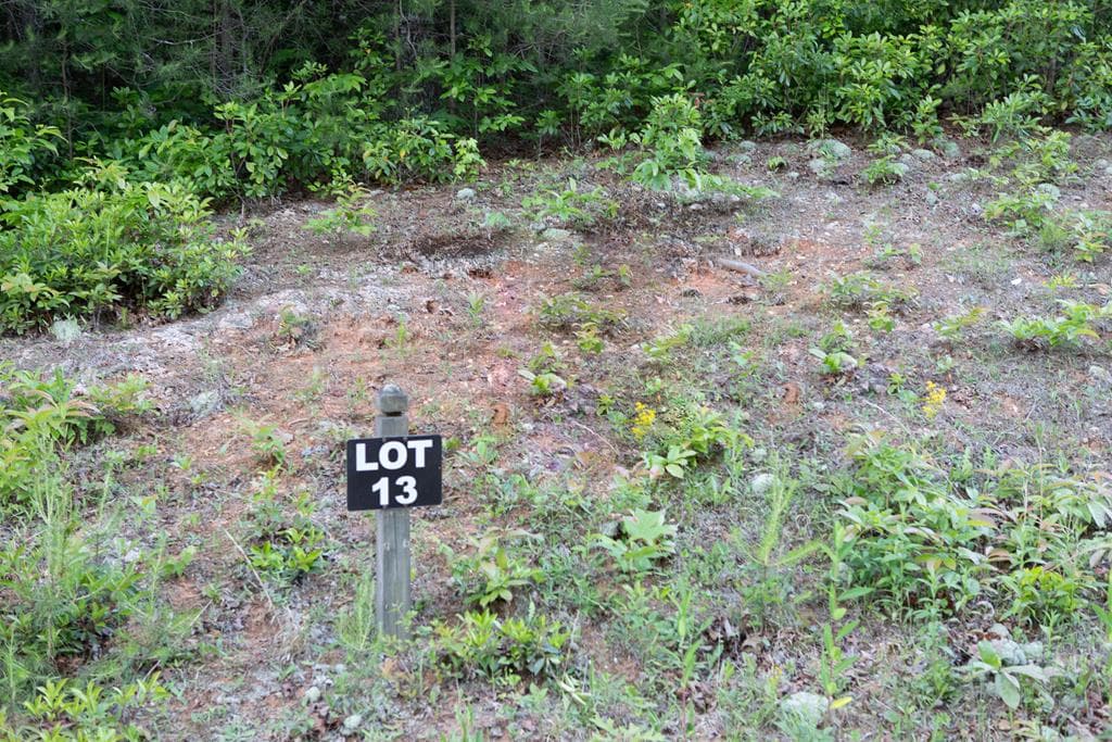Lot 13 Frances Drive, Ellijay GA 30536 - Photo