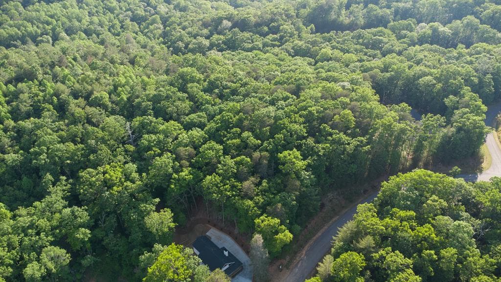 Lot 13 Frances Drive, Ellijay GA 30536 - Photo