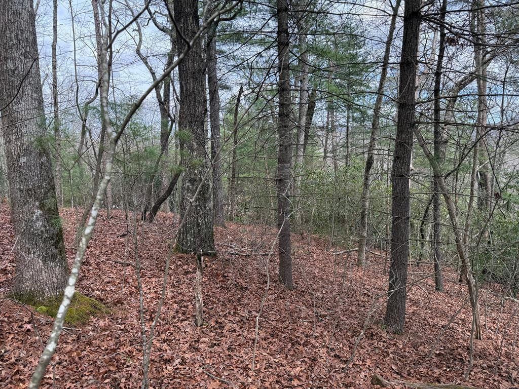 Lot 13 Frances Drive, Ellijay GA 30536 - Photo