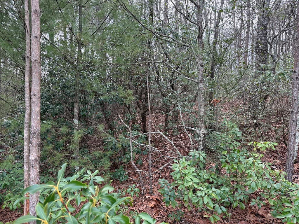 Lot 13 Frances Drive, Ellijay GA 30536 - Photo