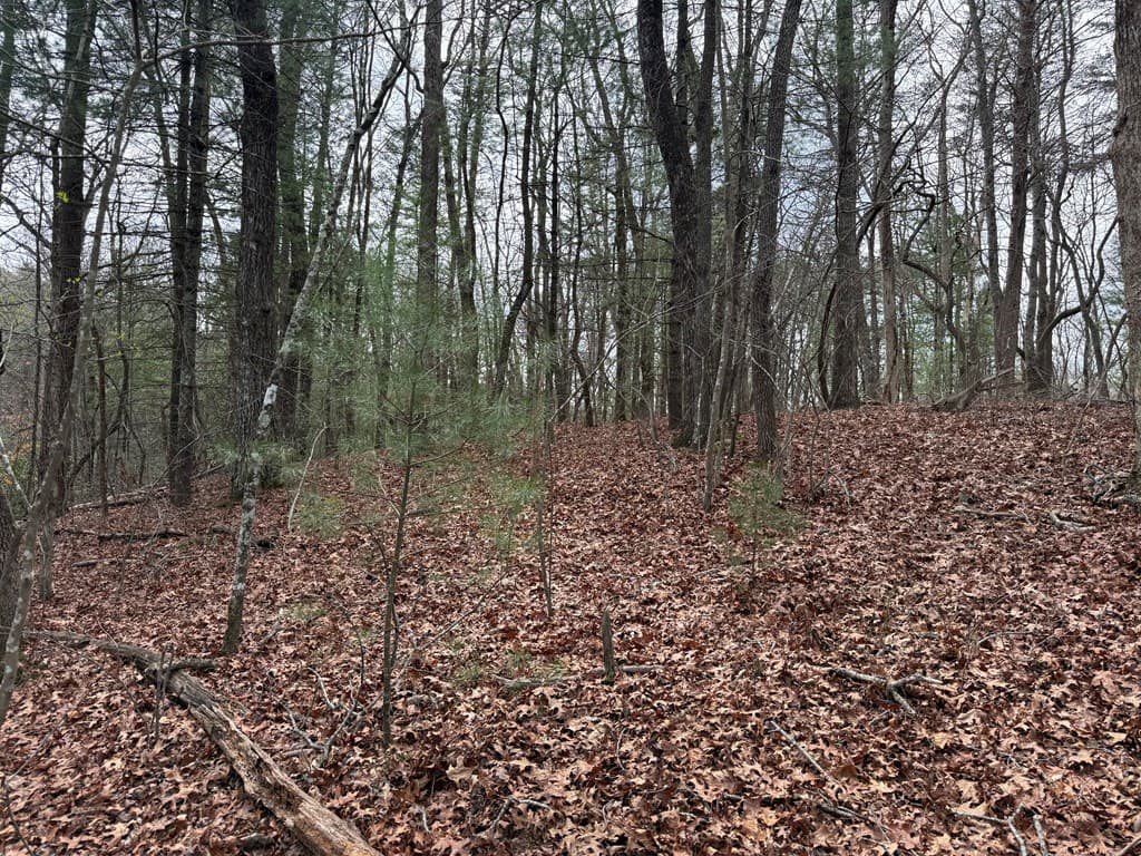Lot 13 Frances Drive, Ellijay GA 30536 - Photo