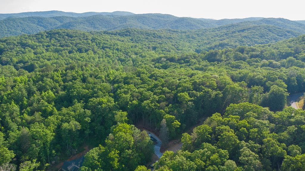 Lot 13 Frances Drive, Ellijay GA 30536 - Photo