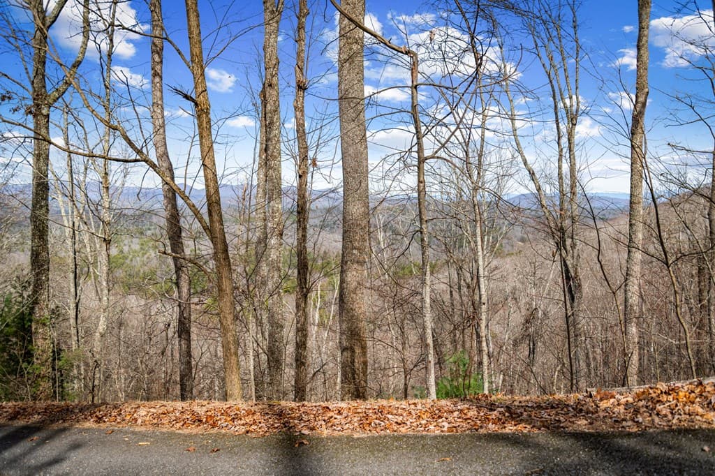 Lot 20 Raven Ridge Circle, Mineral Bluff GA 30559 - Photo