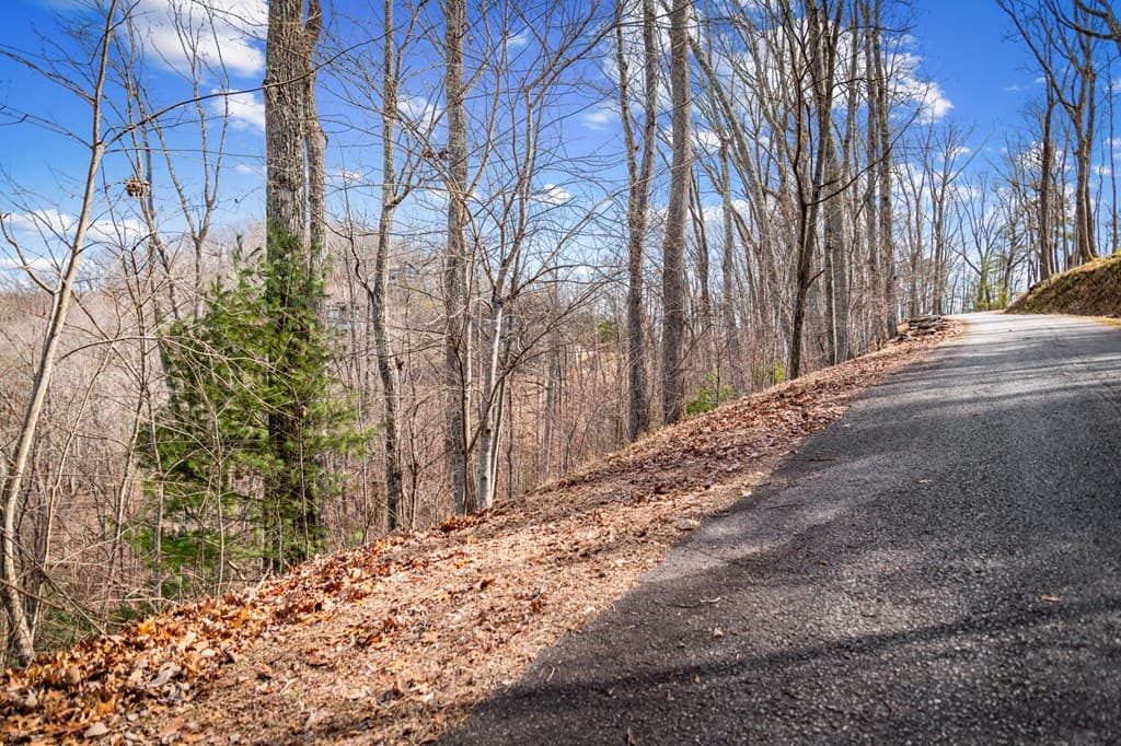 Lot 20 Raven Ridge Circle, Mineral Bluff GA 30559 - Photo