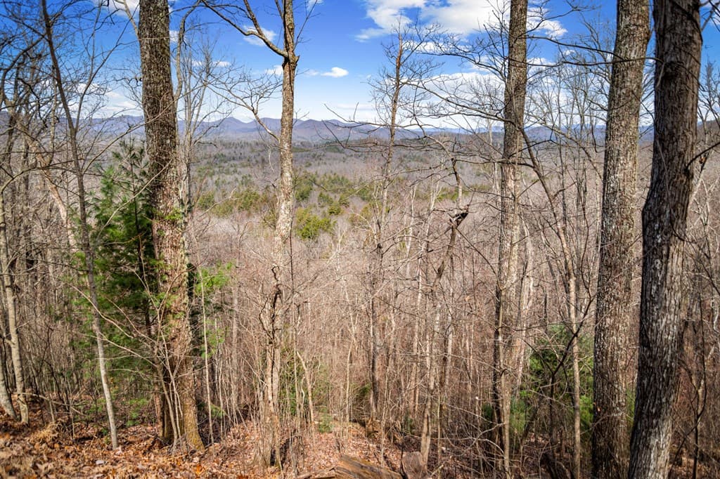 Lot 20 Raven Ridge Circle, Mineral Bluff GA 30559 - Photo