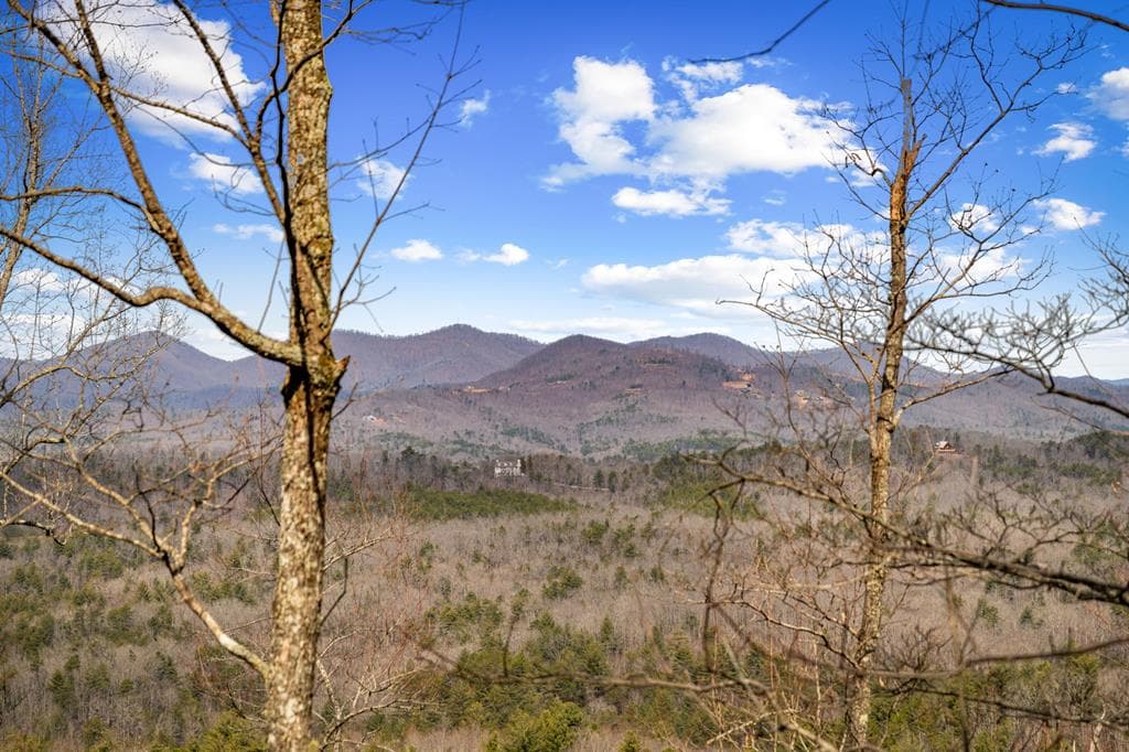 Lot 20 Raven Ridge Circle, Mineral Bluff GA 30559 - Primary photo