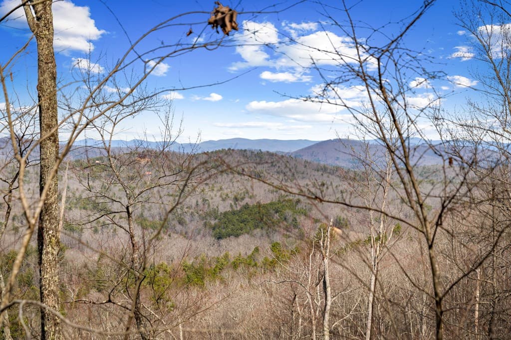 Lot 20 Raven Ridge Circle, Mineral Bluff GA 30559 - Photo
